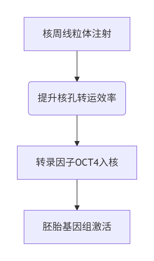 ​​42岁卵巢储备枯竭合并严重男性无精症患者90万双胎活产​​-辅助代生